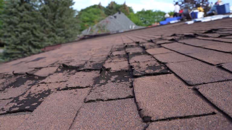 Best Wood Shake Roofing  in Coquille, OR